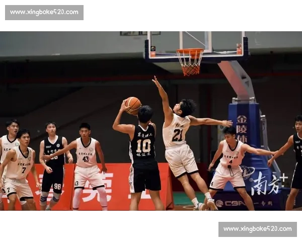 极速体验篮球赛事精彩瞬间下载官方APP随时掌握赛况